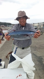 s-173778a4.jpg