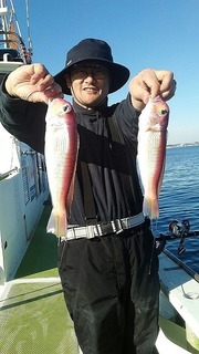 s-5684dae5.jpg