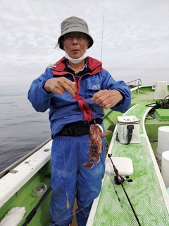 s-82448991.jpg